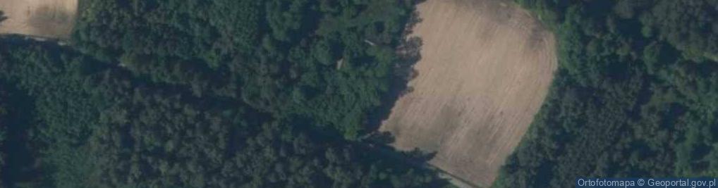 Zdjęcie satelitarne Charbinowice ul.