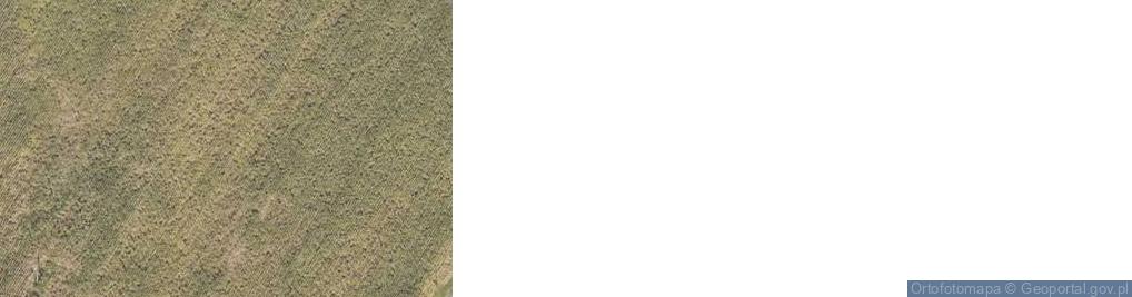 Zdjęcie satelitarne Chełmno ul.