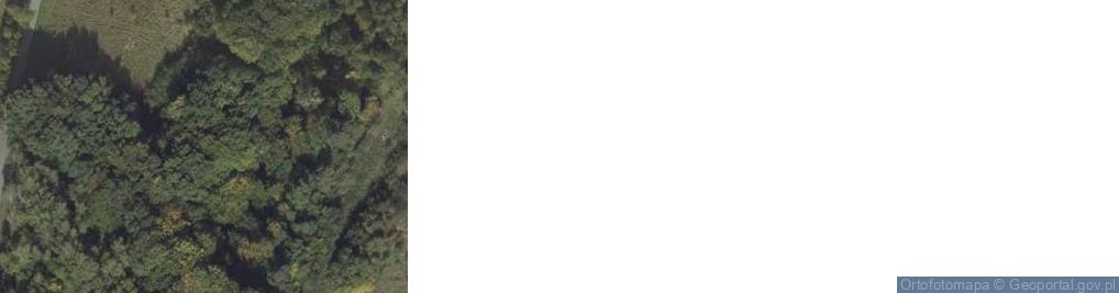 Zdjęcie satelitarne Chmielnik ul.