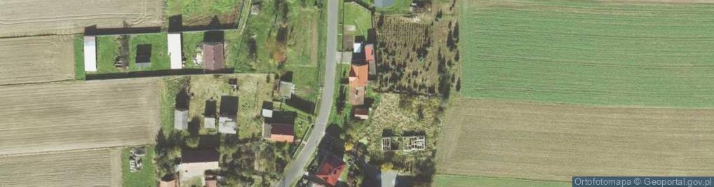 Zdjęcie satelitarne Chocianowice ul.