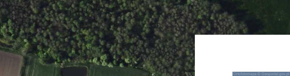 Zdjęcie satelitarne Chociszew ul.
