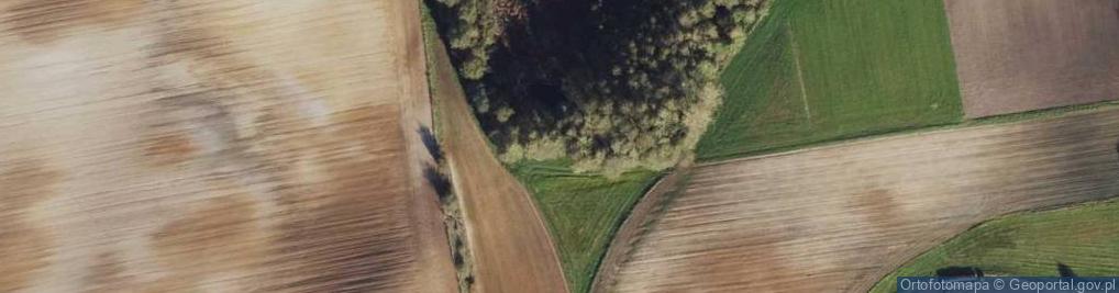 Zdjęcie satelitarne Chociszewo ul.