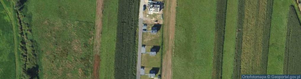Zdjęcie satelitarne Cholerzyn ul.