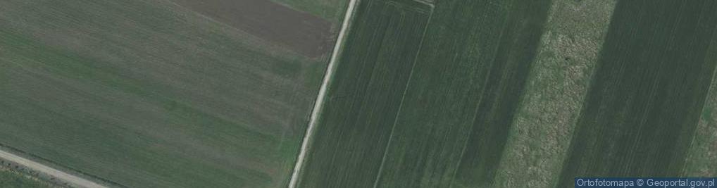 Zdjęcie satelitarne Choinkowa ul.