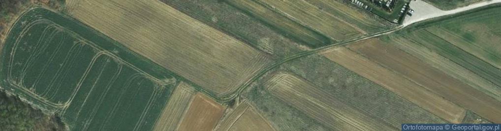 Zdjęcie satelitarne Cicha ul.