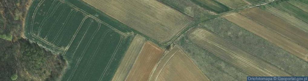 Zdjęcie satelitarne Cicha ul.