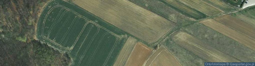 Zdjęcie satelitarne Cicha ul.