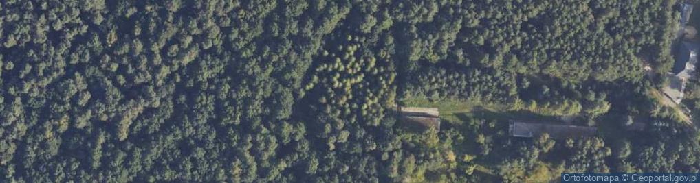 Zdjęcie satelitarne Cisowa ul.