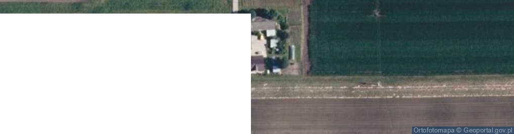 Zdjęcie satelitarne Ciborowice ul.