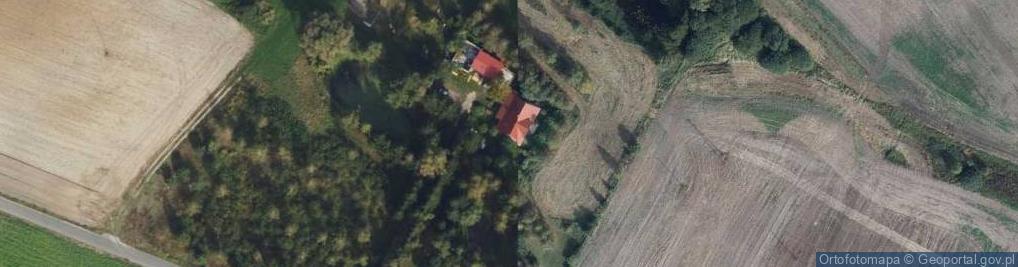 Zdjęcie satelitarne Ciche ul.