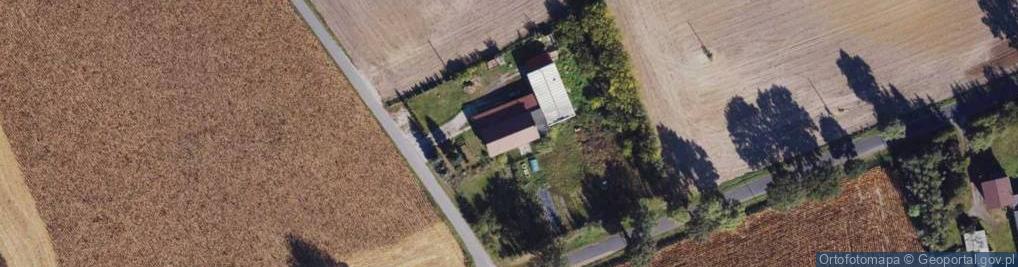 Zdjęcie satelitarne Cichoradz ul.