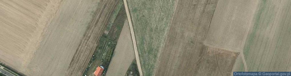 Zdjęcie satelitarne Cicha ul.