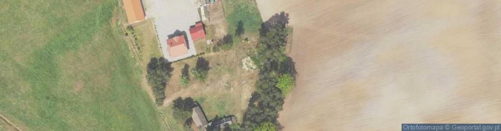 Zdjęcie satelitarne Cieciory ul.