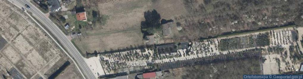 Zdjęcie satelitarne Cieciszew ul.
