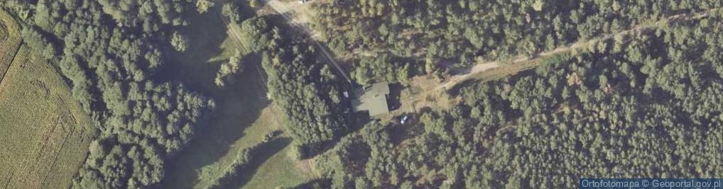 Zdjęcie satelitarne Ciemierów ul.