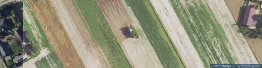 Zdjęcie satelitarne Cienia ul.