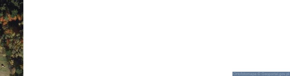 Zdjęcie satelitarne Cieniawa ul.