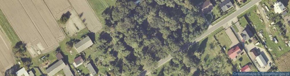 Zdjęcie satelitarne Cisew ul.
