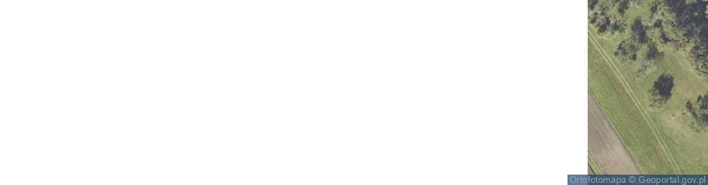 Zdjęcie satelitarne Cisew ul.