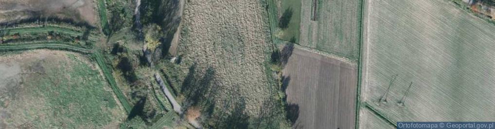 Zdjęcie satelitarne Cisowa ul.