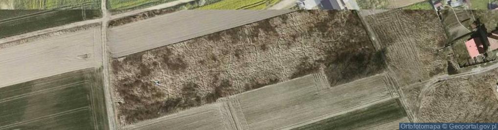 Zdjęcie satelitarne Cicha ul.