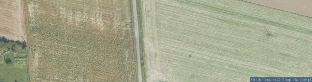 Zdjęcie satelitarne Ciświca ul.