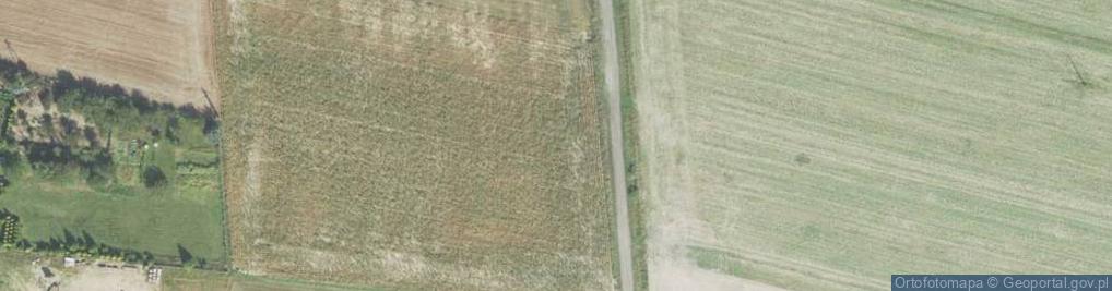 Zdjęcie satelitarne Ciświca ul.