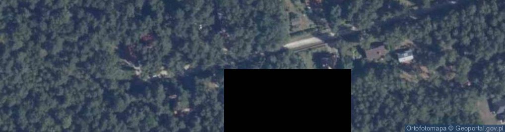 Zdjęcie satelitarne Cicha ul.