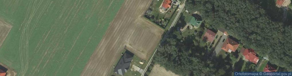 Zdjęcie satelitarne Cienista ul.