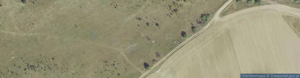 Zdjęcie satelitarne Cisowa ul.