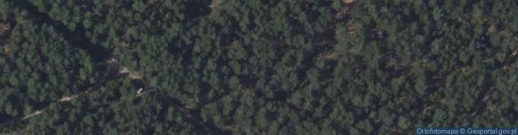 Zdjęcie satelitarne Cichy Las ul.