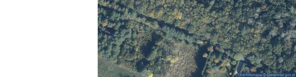 Zdjęcie satelitarne Cicha ul.