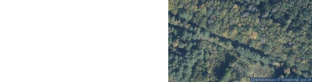 Zdjęcie satelitarne Cicha ul.