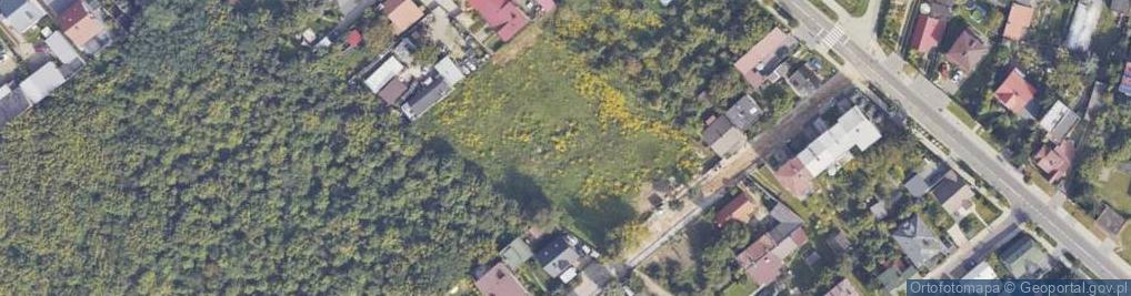 Zdjęcie satelitarne Ciemna ul.