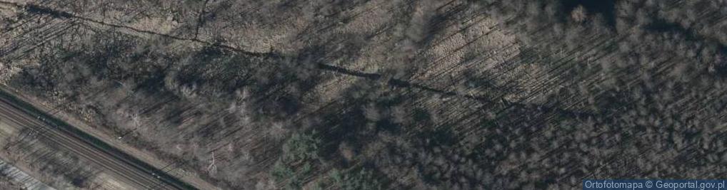 Zdjęcie satelitarne Cicha ul.