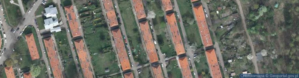Zdjęcie satelitarne Ciechocińska ul.