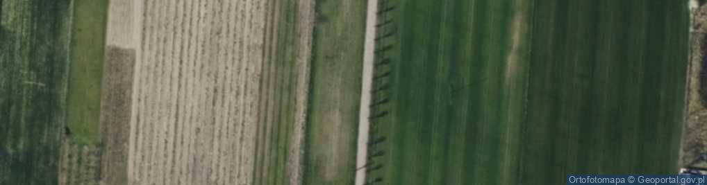 Zdjęcie satelitarne Cmentarna ul.