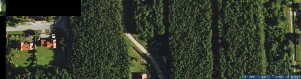 Zdjęcie satelitarne Cymuty S. ul.