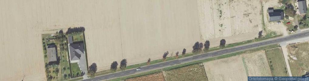 Zdjęcie satelitarne Cysterska ul.
