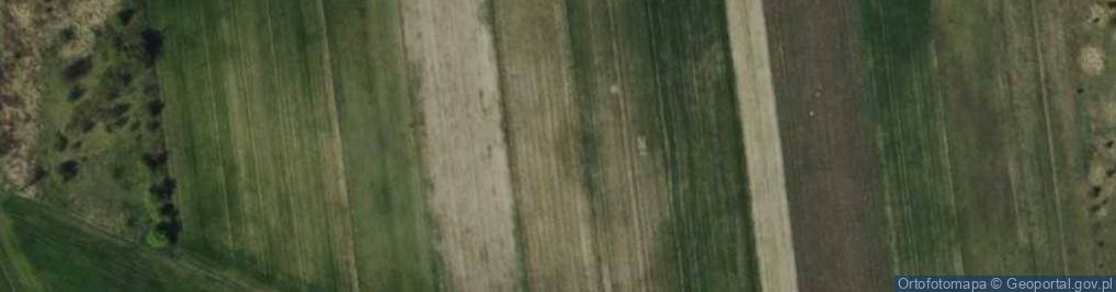 Zdjęcie satelitarne Cytrynowa ul.