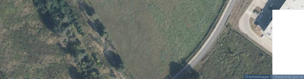 Zdjęcie satelitarne Cynkowa ul.