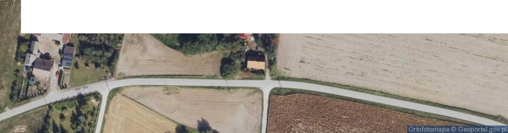 Zdjęcie satelitarne Czajno ul.