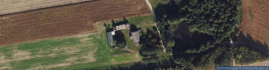 Zdjęcie satelitarne Czajno ul.