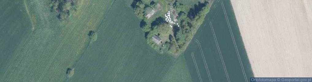 Zdjęcie satelitarne Czarkówka Mała ul.