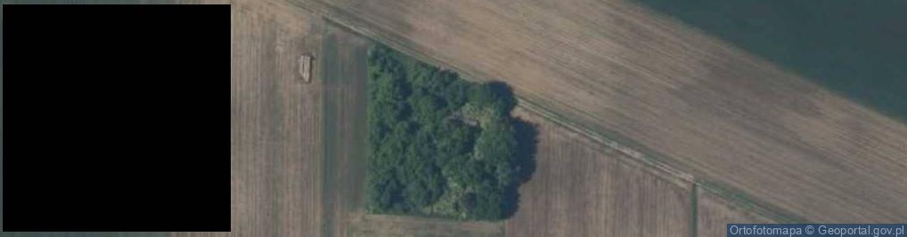 Zdjęcie satelitarne Czarkowy ul.