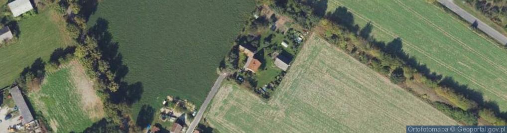 Zdjęcie satelitarne Czarnotul ul.
