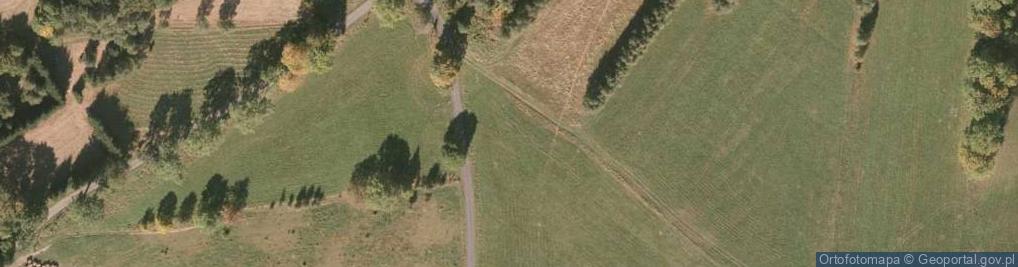 Zdjęcie satelitarne Czarnów ul.