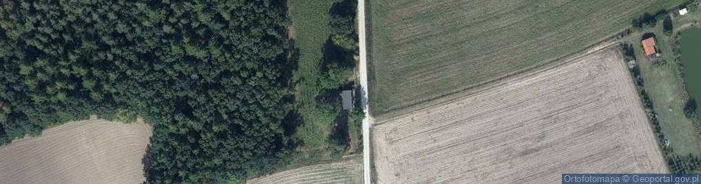 Zdjęcie satelitarne Czarny Bryńsk ul.