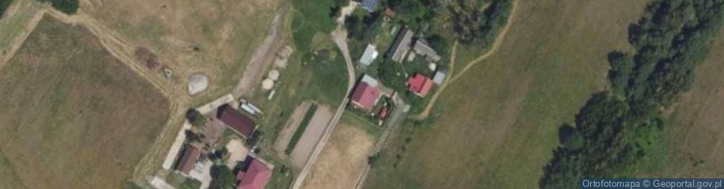 Zdjęcie satelitarne Czarny Las ul.