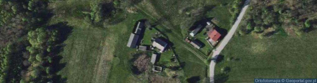 Zdjęcie satelitarne Czarny Las ul.